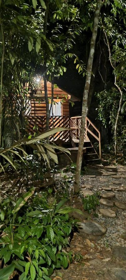 Refugio Samauma 호텔 마나우스 외부 사진
